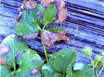 1658223675361408.png 2.png